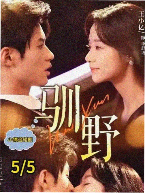 皆月在线观看 皆月脱口秀